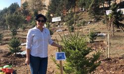 Evlat Acısına Dayanamadı: Oğlunun Mezarı Başında Hayata Gözlerini Yumdu