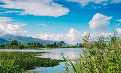 2 Şubat Ne Günü? 2 Şubat Türkiye’de Ne Günü?