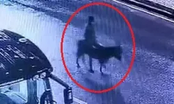 Kuyumcu Soymaya Forklifle Geldi, Eşekle Kaçtı