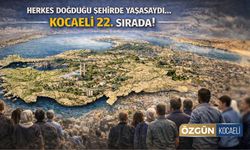 Herkes doğduğu şehirde yaşasaydı Kocaeli kaçıncı sırada olurdu?