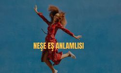 Neşe Eş Anlamlısı Nedir? Neşe Kelimesinin Eş Anlamlısı