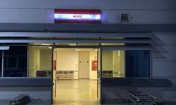 Yaşlı adamın kesik başı ormanda bulundu