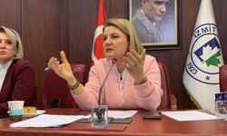 Başkan Hürriyet'ten Gölkay Park konusunda hem özeleştiri hem eleştiri