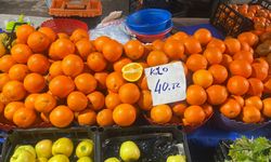 Soğuk havada narenciye tezgahları büyüdü