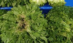 Pazarın En Ucuzu Belli Oldu