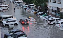 Körfez'de Felaket: Çok Sayıda Ölü