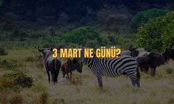 3 Mart Ne Günü? 3 Mart Türkiye'de Ne Günü?