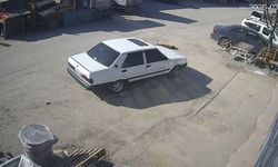 Yerde Yatan Köpeği Altına Aldı