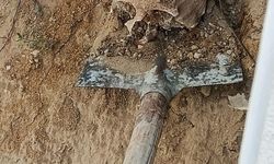 Kocaeli'de Fidan Dikerken İnsan Kafatası Bulundu