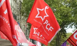 Sezen Aksu, Fransa Siyasetine Damga Vurdu