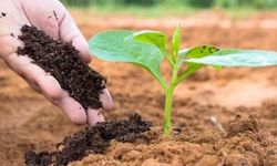 Çiftçilere Müjde: Gübrede Vergi Sıfırlandı