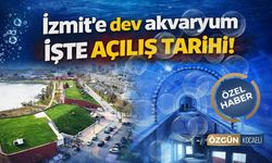 İzmit’teki Dev Akvaryumda Çalışmalar Yüzde 90’a Ulaştı