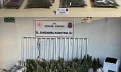 Kocaeli'de 40 Adrese Jandarma Baskını: Operasyon Kamerada