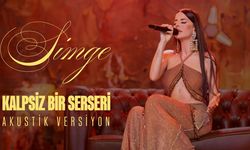 Simge Sağın – Kalpsiz Bir Serseri Şarkı Sözleri