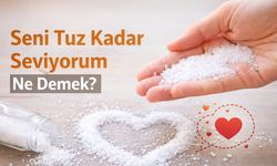 “Seni Tuz Kadar Seviyorum” Ne Demek?