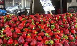 Kozluk Pazarı’nda çilek tezgâhlarda yerini aldı