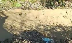 Gölcük'te dereyi kirleten firmaya ceza uygulandı