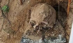 Körfez’de bahçede bulunan kemikler mahalleyi ayağa kaldırdı