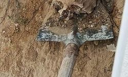 Körfez’de bahçede bulunan kemikler mahalleyi ayağa kaldırdı