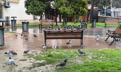 Bayramın ikinci gününde kent sakinliğe büründü