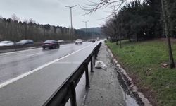 Yol kenarında ölü bebek bulundu