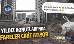 Yıldız Konutları'nda Fareler Cirit Atıyor!
