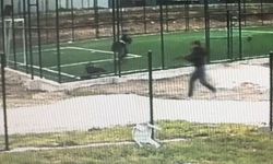 Yaşlar 17! Çocuk Parkında Pompalıyla Vurdu