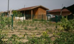 Devlet Düğmeye Bastı: Hobi Bahçelerinde Sıkı Denetim