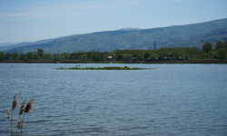 Sapanca Gölü'nde Gizemli Ada Ortaya Çıktı