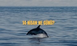 14 Nisan Ne Günü? 14 Nisan Türkiye'de Ne Günü?
