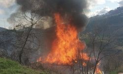 Yaşlı Kadın Yanarak Öldü