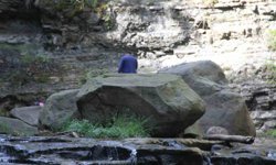 Piknik Yaparken Öldü!