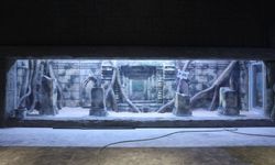 Kocaeli Akvaryumu İçin Geri Sayım Başladı