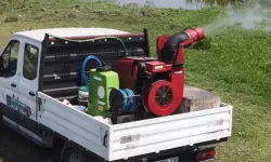 Sivrisinek ve Karasinek Alarmı! Yeni Önlemler