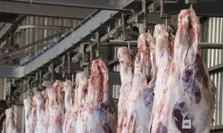 Kesim, çekim, parçalama… Kocaeli’de tüm kurban fiyatları belli oldu