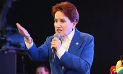 Meral Akşener'den dikkat çeken hamle! Geri mi dönüyor?