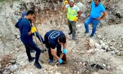 Deprem enkazındaki sır 10 yıl sonra çözüldü!