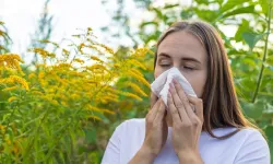 Bahar Nezlesi İçin Yeni Umut: Dil Altı İmmünoterapi ile Kalıcı Çözüm!