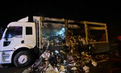TEM’de korkutan yangın: TIR küle döndü