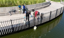 İzmit Millet Bahçesi Göletinde Bilimsel İzleme Başladı