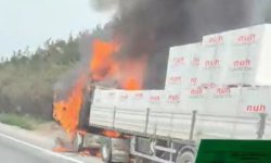 TEM'de Seyir Halindeki Tır Alevlere Teslim Oldu