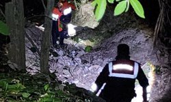 Kocaeli’de Ormanda Korkutan Anlar