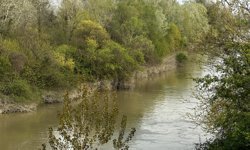 Sakarya Nehri’nde Kayıp Alarmı: Çocuk Aranıyor