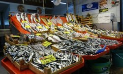 Av Yasağına Rağmen Tezgahlar Dolu