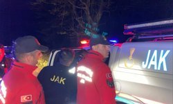 Kocaeli’den Ayrıldı Bolu'da Ormanda Bulundu