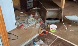 Ayı alarmı: Kış uykusundan uyandılar