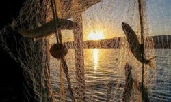 Dikkat: Denizlerde Av Yasağı Başladı