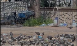 Doğu Kışla’da “iyi niyet” kirliliğe dönüştü: Park çevresi çöplüğe döndü