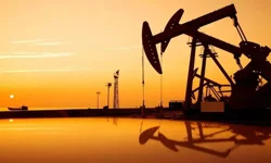 Üniversite Kampüsünde Petrol Bulundu