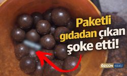 Kocaeli'de Paketli Gıdadan Çıkan Şey Şoke Etti!